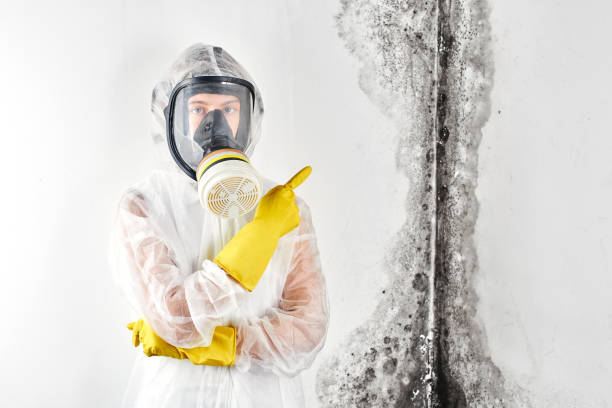 Best Mold Remediation for Healthcare Facilities  in Coachella, CA